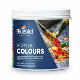 Signature Acrylic Colours - 600 gm