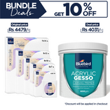 Acrylic Gesso 600gm + Signature Stretched Canvas Pack of 14 Bundle