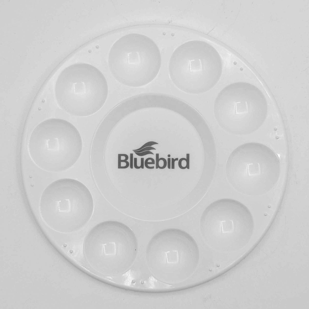 Plastic Paint Palette