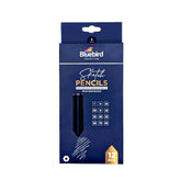 Sketch Pencils Set of 12