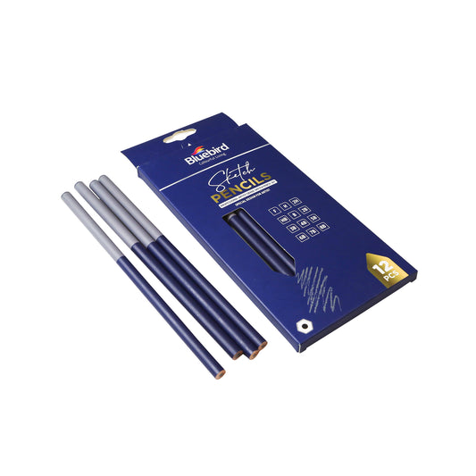 Sketch Pencils Set of 12